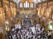  vue générale du hall principal du natural history museum